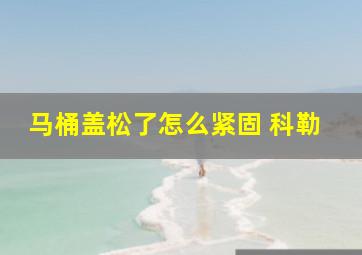 马桶盖松了怎么紧固 科勒